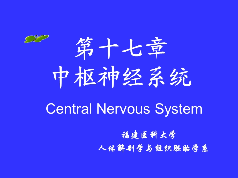 中枢神经系统系统解剖学.ppt_第1页