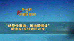 乡村音乐会地产活.ppt