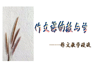 作文课的教与学(下午).ppt