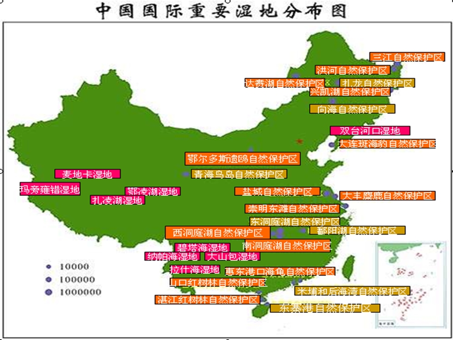 人工湿地设计(刘少敏).ppt_第2页