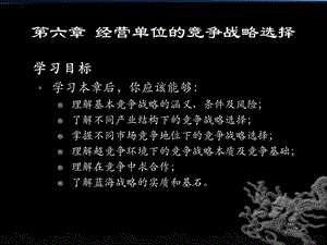 企业战略管理第六章经营单位的竞争战略选择.ppt