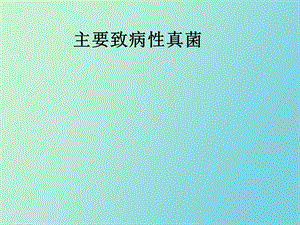 主要致病性真菌.ppt