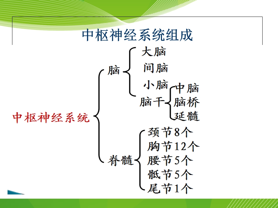 中枢神经系统感染性疾病病人的护理.ppt_第3页