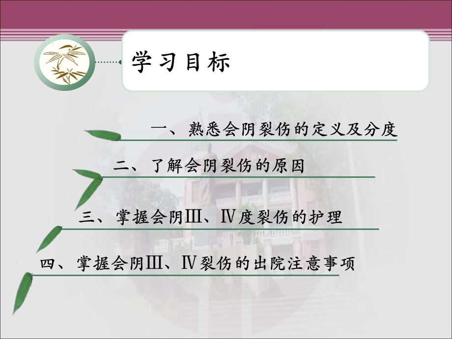 会阴三、四度裂伤的护理.ppt_第2页