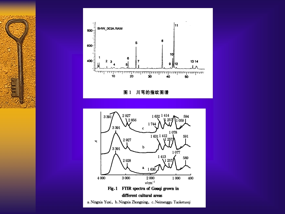 中药指纹图谱的原理与应.ppt_第3页