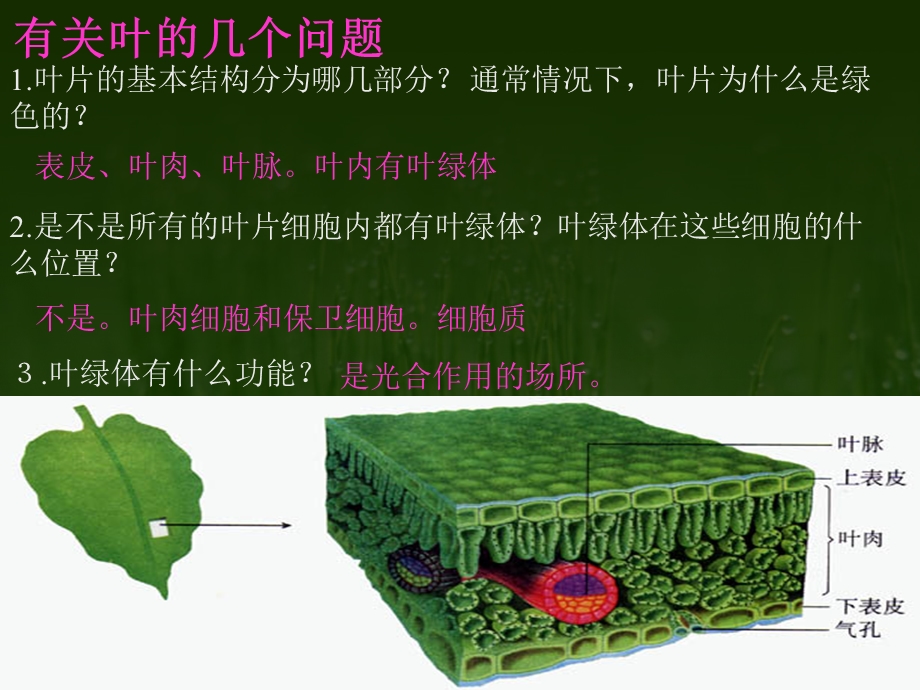 任务培养自己会观察会分析的能力初步掌握生物学科.ppt_第2页