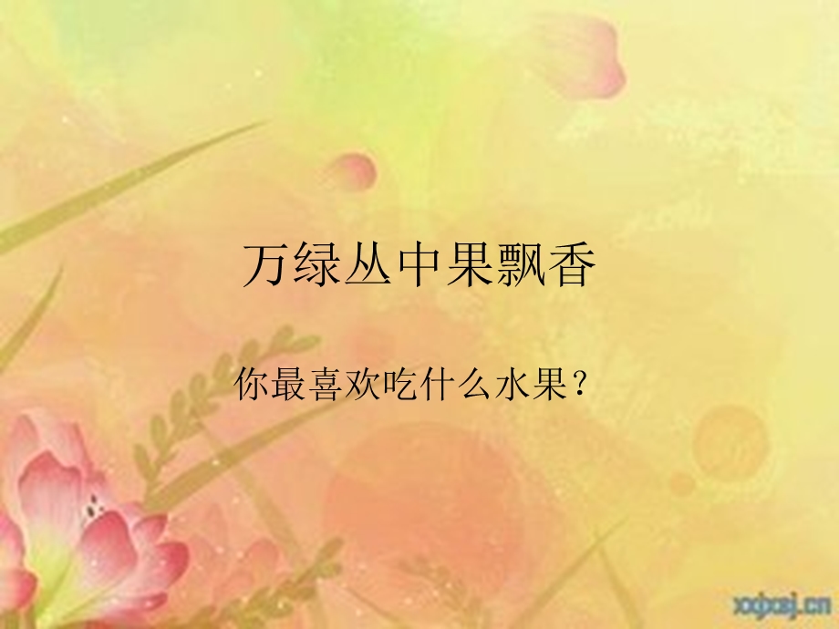 云南奇特的水果.ppt_第1页