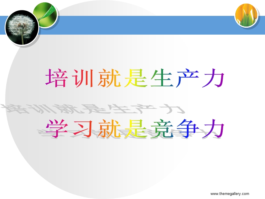 企业文化与CI策划zaq.ppt_第2页