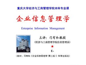 企业信息化建设项目的实施.ppt