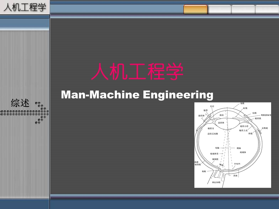 人机工程学-视觉.ppt_第1页