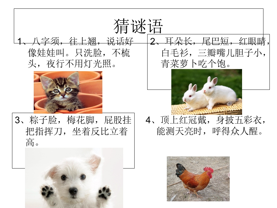 作文指导：我喜欢的小动物.ppt_第2页