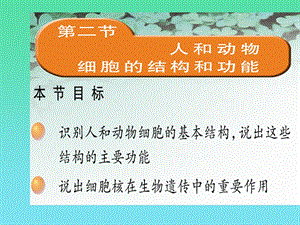 人和动物细胞的结构和功能PPT.ppt