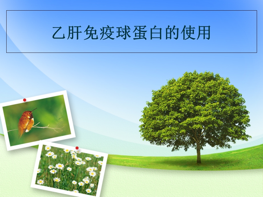 乙肝免疫球蛋白的使.ppt_第1页