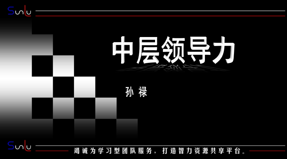 中层领导力-中层领导角色.ppt_第1页