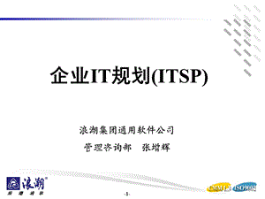 企业IT规划(ITSP).ppt