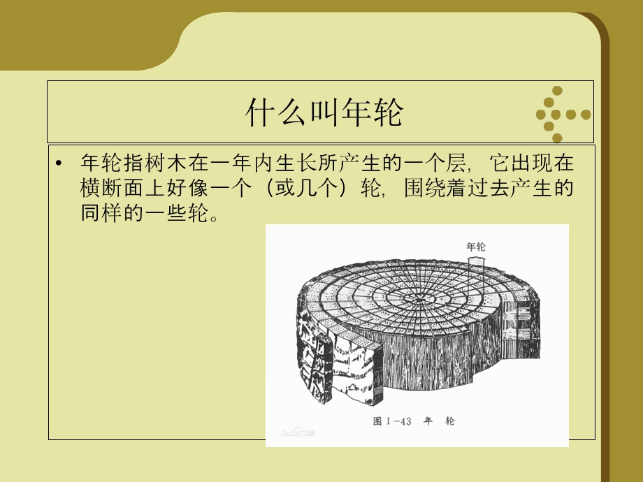 介绍树木年轮PPT.ppt_第3页