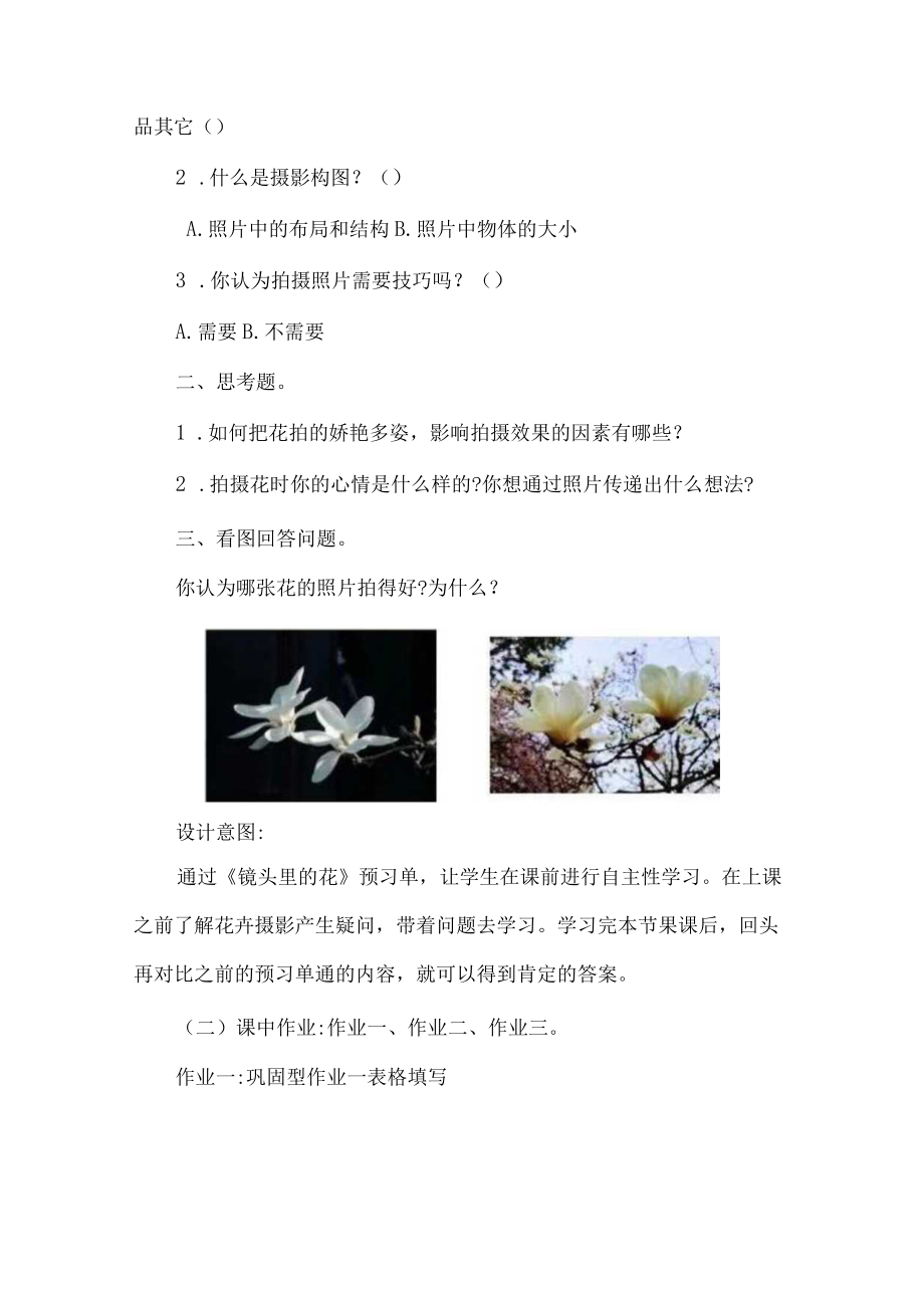 小学六年级美术作业设计案例镜头里的花.docx_第3页