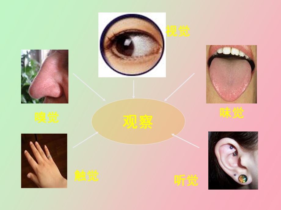 人体对外界环境的感知完整版.ppt_第3页