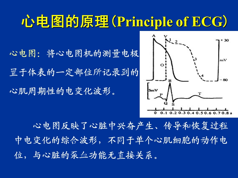 人体心电图及血压测量-zhou.ppt_第3页