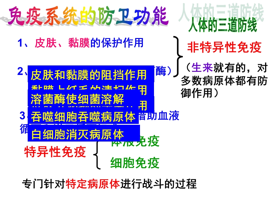 人教版教学课件免疫调节上课.ppt_第3页