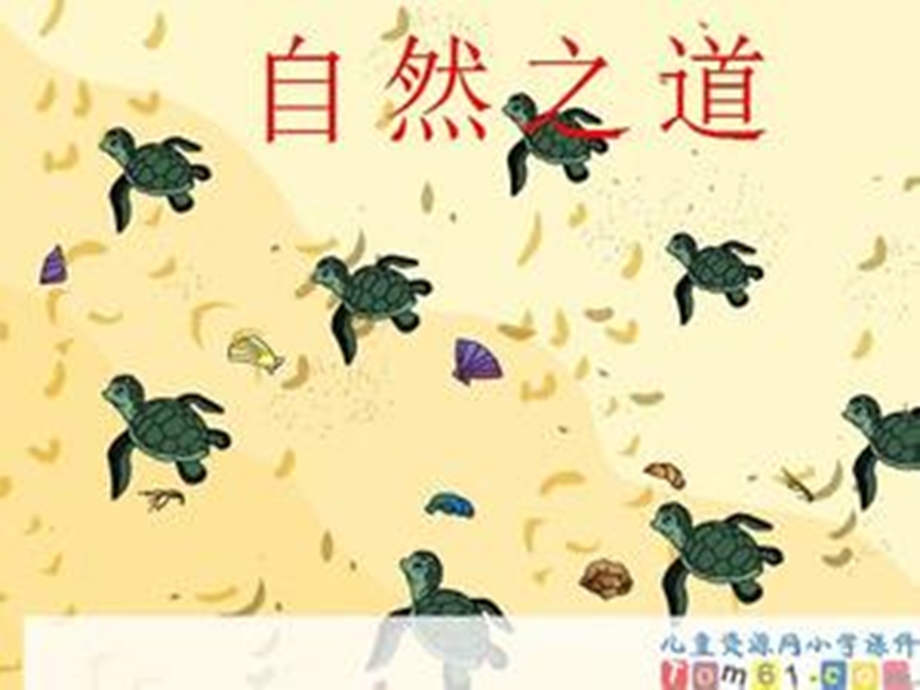 人教版四年级语文下册第9课《自然之道》PPT.ppt_第2页