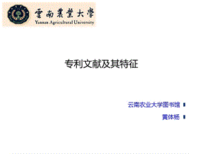 专利文献及其特征.ppt