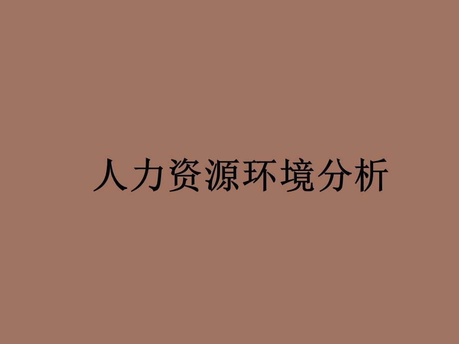 人力资源环境分析.ppt_第1页