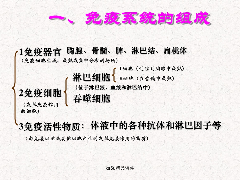 人教版教学课件免疫调节的课件PPT.ppt_第3页