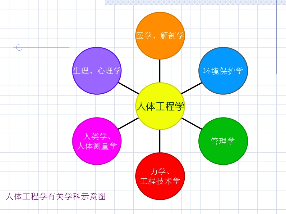 人体工程学第二节人体尺寸.ppt_第2页