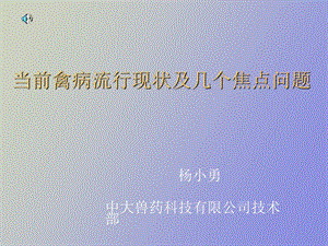 中大科技创造无限.ppt