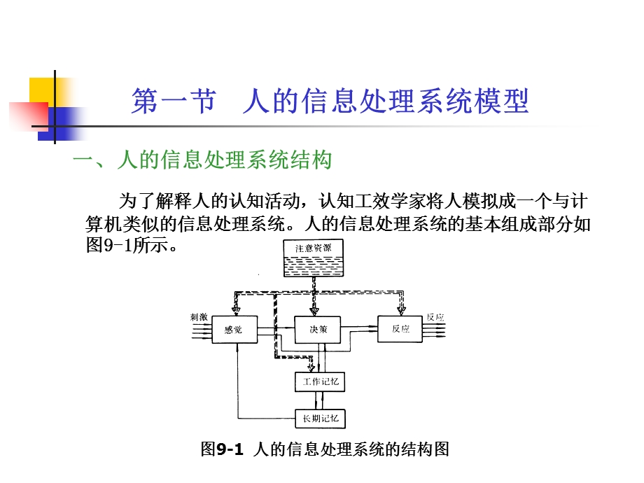 人的信息处理系统.ppt_第3页