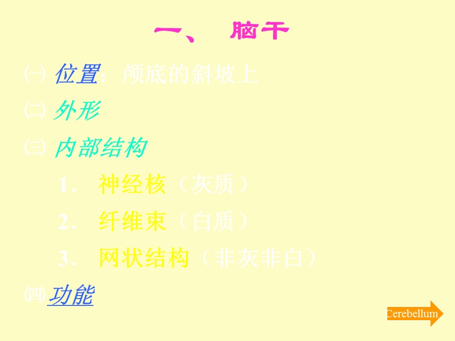 中枢神经系统脑.ppt_第2页