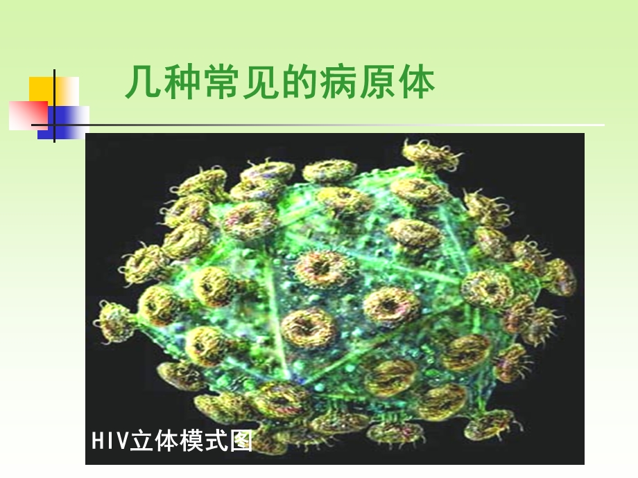 人教版八年级下册《传染病及其预防》ppt.ppt_第3页