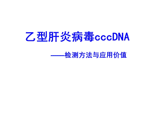 乙肝病毒cccDNA检测.ppt