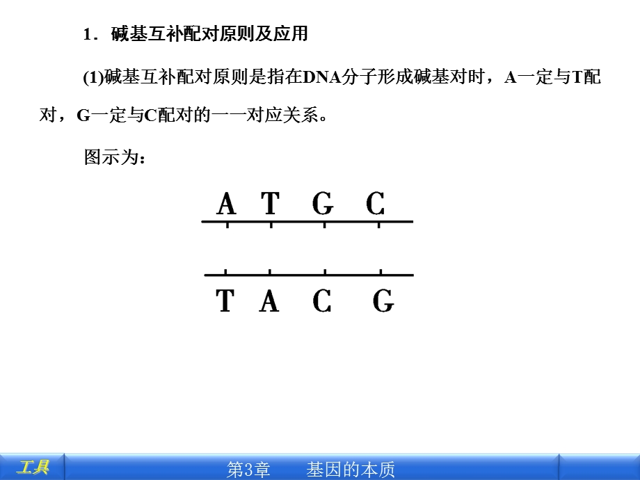 专项考能集训四碱基含量及DNA复制有关的计算.ppt_第2页