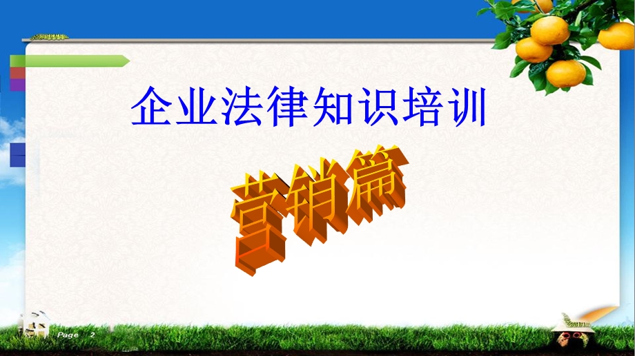 企业法律知识培训之营销篇.ppt_第1页