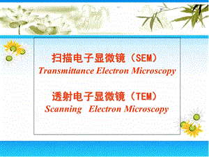 仪器分析SEM-TEM.ppt