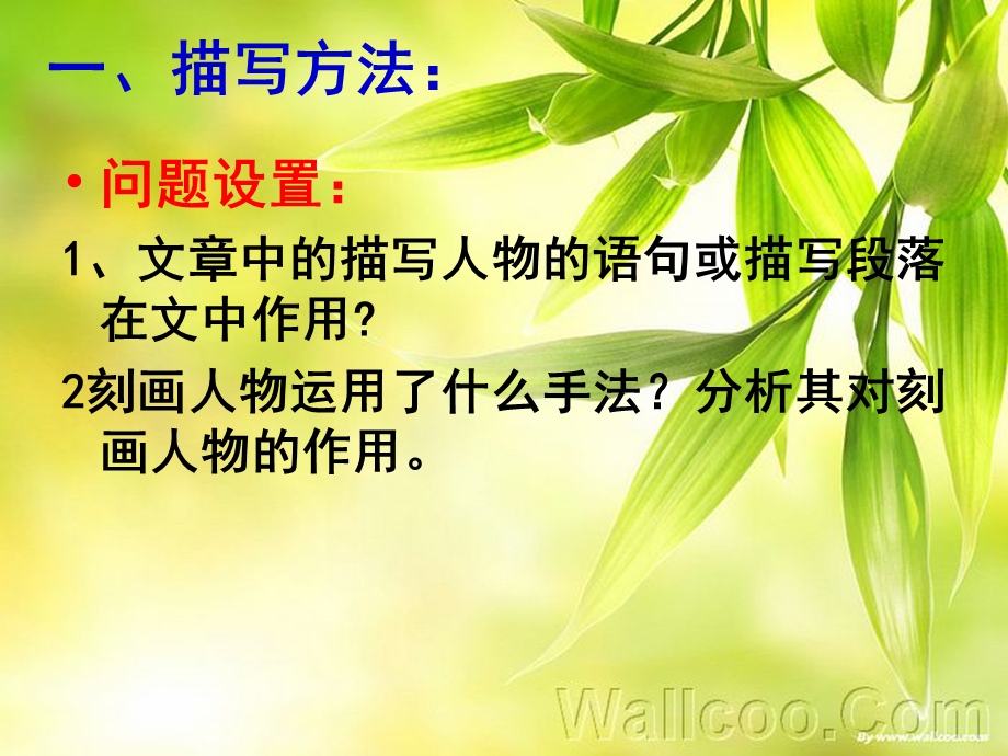 人物传记之分析表现手法张莉.ppt_第2页