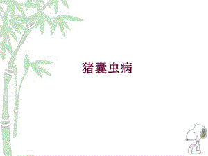 人畜共患寄生虫病的检疫.ppt