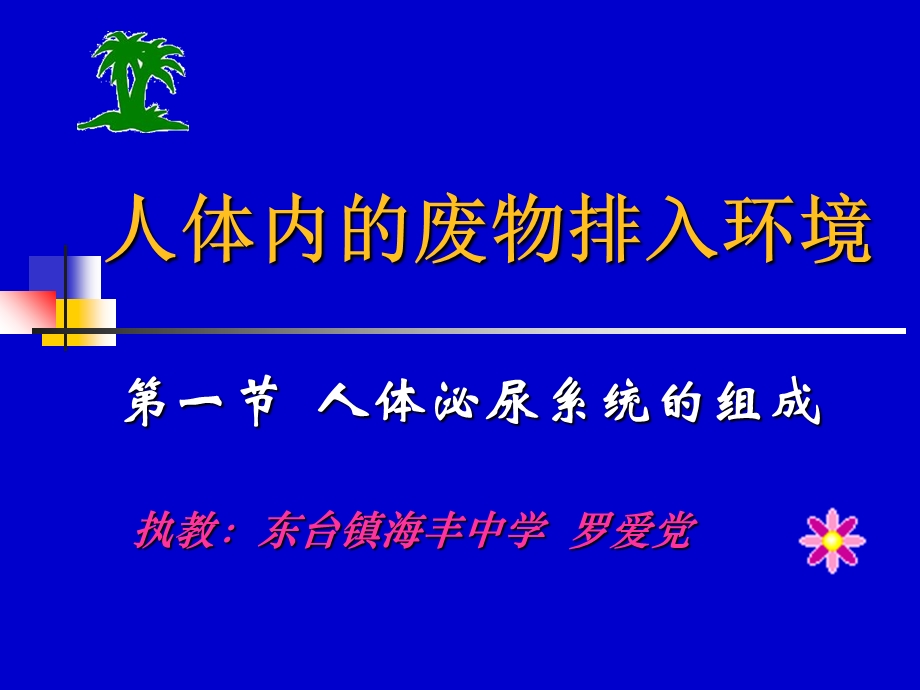 人体内的废物排入环境.ppt_第3页