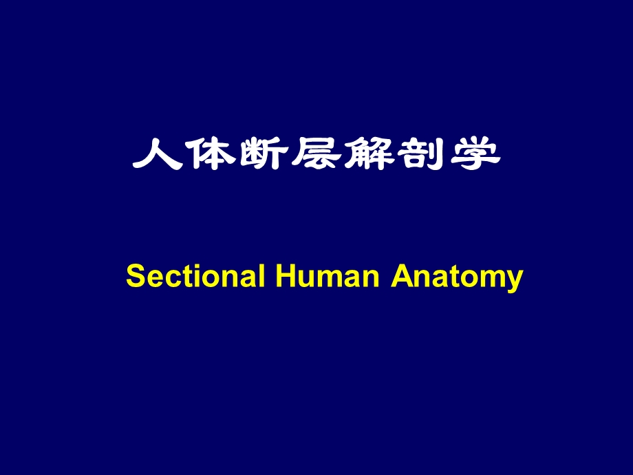 人体断层解剖学简介-人体断层解剖学.ppt_第1页