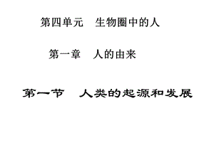 人类起源和发展的课件.ppt