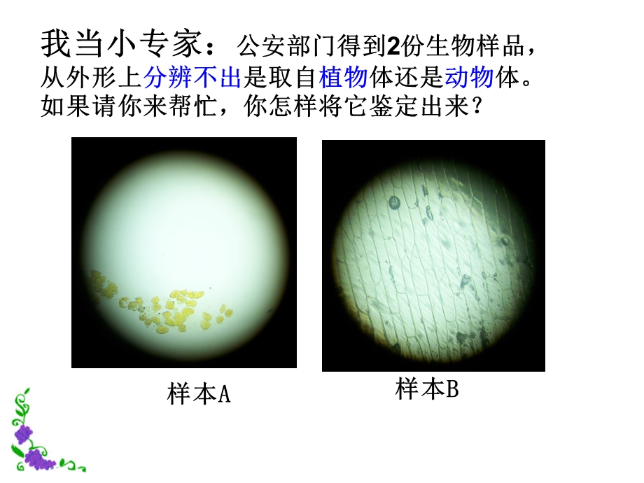 人教版初一七年级上册生物《动物细胞课件PPT》.ppt_第2页