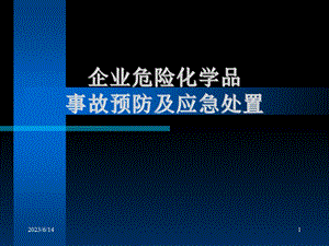 企业危险化学品事故预防及应急处置.ppt