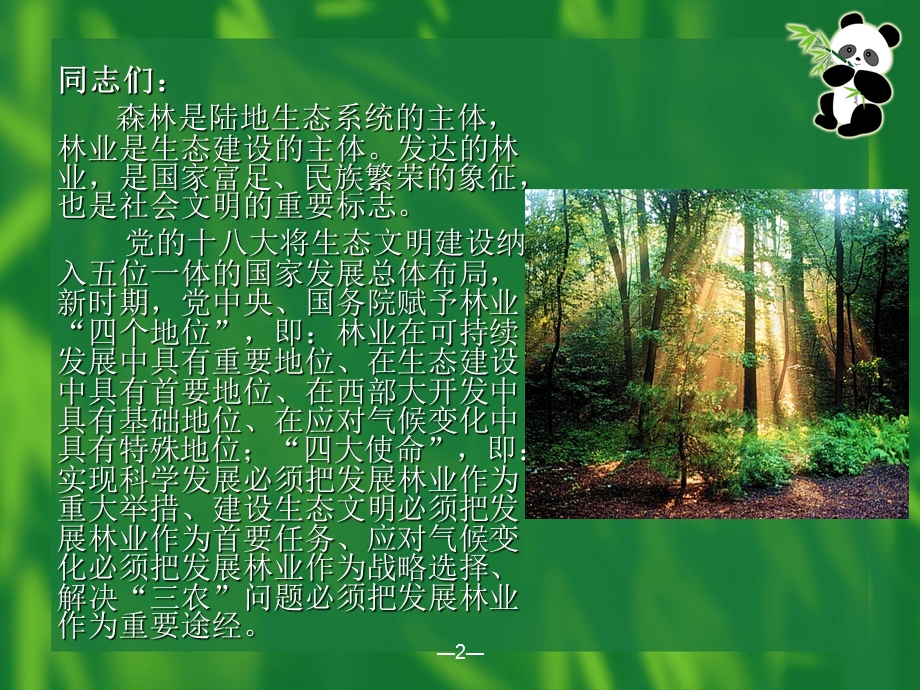 以案说法：《森林法》.ppt_第2页