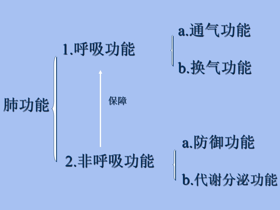 临床肺功能及动脉血气分析.ppt_第2页