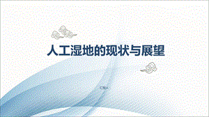 人工湿地的现状与展望.ppt