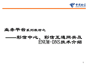 业务平台彩信中心、彩信互通网关及ENMUDNS技术介绍.ppt