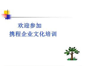 企业文化培训(修改稿).ppt