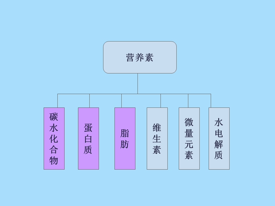 临床营养支持治疗.ppt_第3页